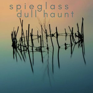 Dull Haunt