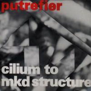 Cilium To MKD Structure