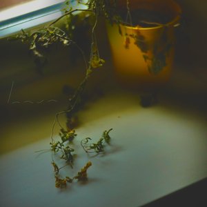 Hesitating, Possibly Underestimating