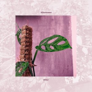 ODGJ - Single