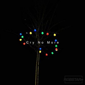 Cry No More