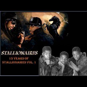 15 Years of Stallionaires, Vol.1