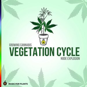 Growing Cannabis - Vegetation Cycle Node Explosion