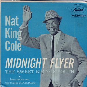 Midnight Flyer