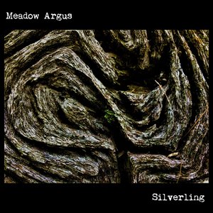 Silverling