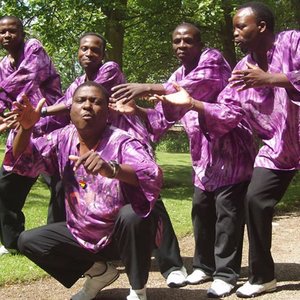 The Black Umfolosi 5 的头像