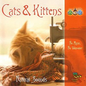 Image for 'Cats & Kittens'