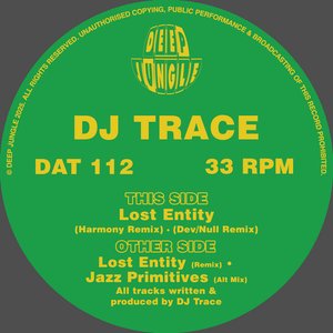 Lost Entity (Remixes)