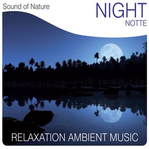 Night (Notte) (Relaxation Ambient Music)