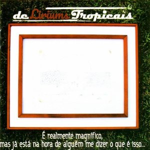 É Realmente Magnífico, Mas Já Está na Hora de Alguém Me Dizer o Que É Isso...