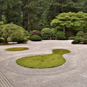 Peaceful Zen 的头像