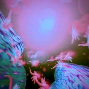 Secretflowers 的头像