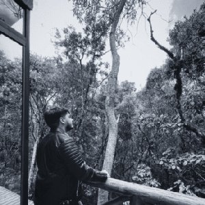 Avatar for Kaltsog