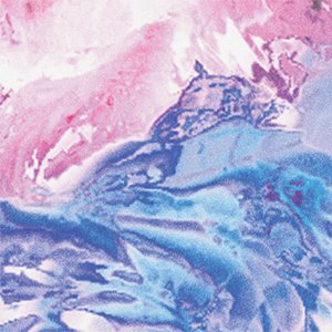 Fragments - Single
