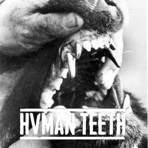 HVMAN TEETH 的头像