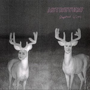 Astroturf