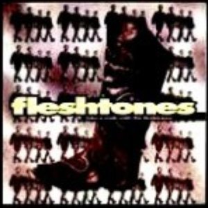 Take A Walk With The Fleshtones