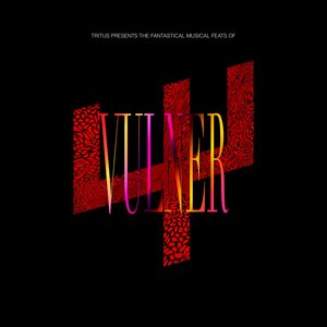 VULNER