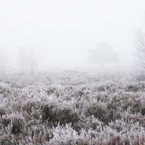 A Year of Winter