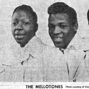 Mello-Tones 的头像