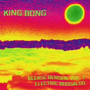 Beekse Bergen, Vol. 2 - Electric Boogaloo