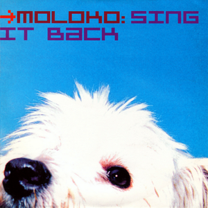 Moloko - Sing It Back - Boris Musical Mix - Edit