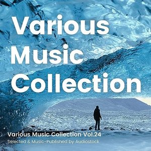 Various Music Collection Vol.24 -Selected & Music-Published by Audiostock-