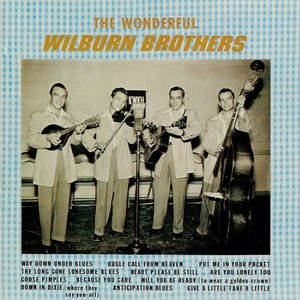 The Wonderful Wilburn Brothers