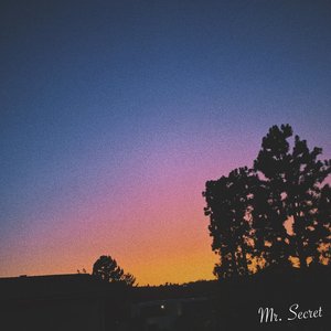 Mr. Secret