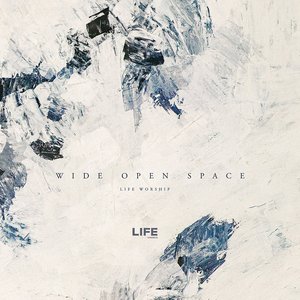 Wide Open Space (Live)