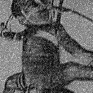 Elektrode photo provided by Last.fm