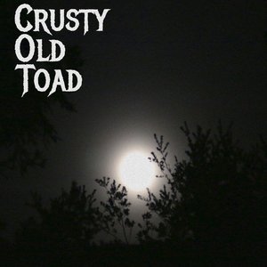 Crusty Old Toad 的头像