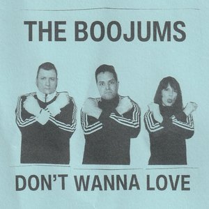 Don't Wanna Love