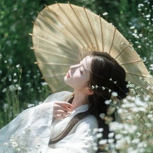 古琴唐彬 的头像