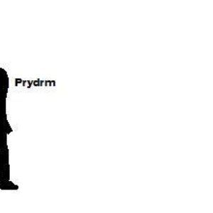 Prydrm 的头像