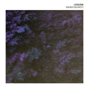 Late Bloom - EP