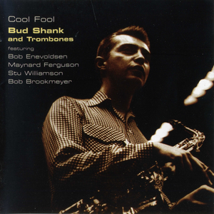 Cool Fool cover