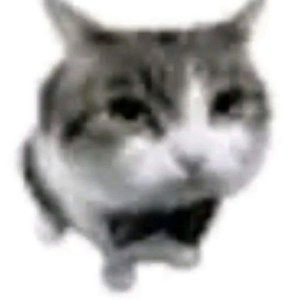 Avatar for 1mint