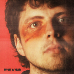 Pochette de WHAT A YEAR