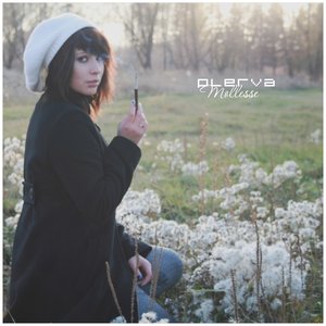 PLERVA 的头像