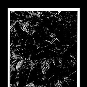 Life and Death