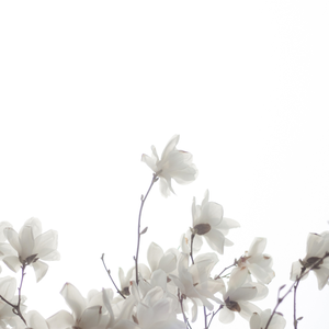 Leuko photo provided by Last.fm