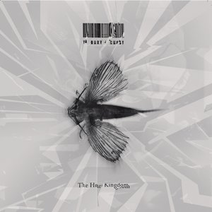 The Hurt Kingdom