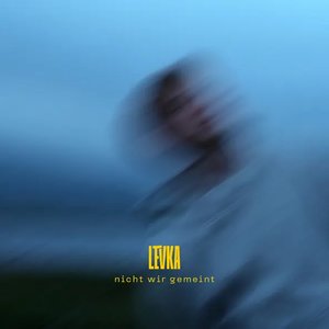 nicht wir gemeint - Single