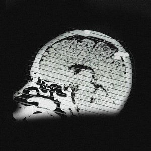 P+L - Single
