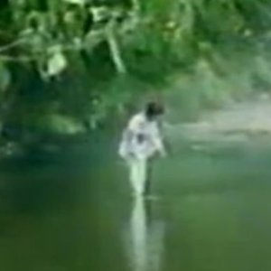 Аватар для セルシオ