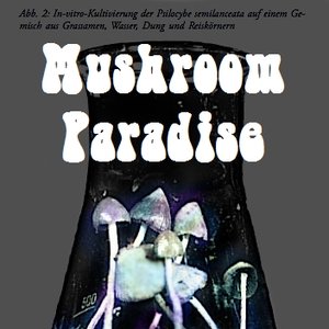 Image for 'Mushroom Paradise'