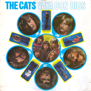 Vaya Con Dios cover