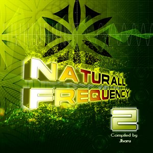 Naturall Frequency 2