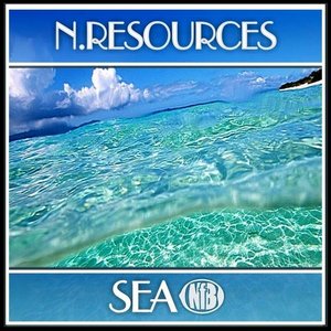 Avatar for N.Resources